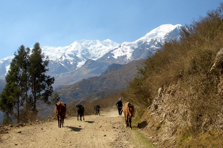 Steckbrief Bolivien