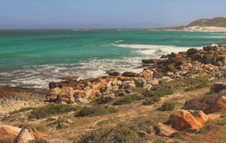 Reisebericht Kapstadt - Kap der Goten Hoffnung, Cape Point & Boulders Beach