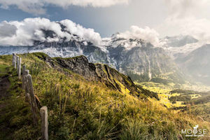 Schönstes Foto von moosearoundtheworld.de