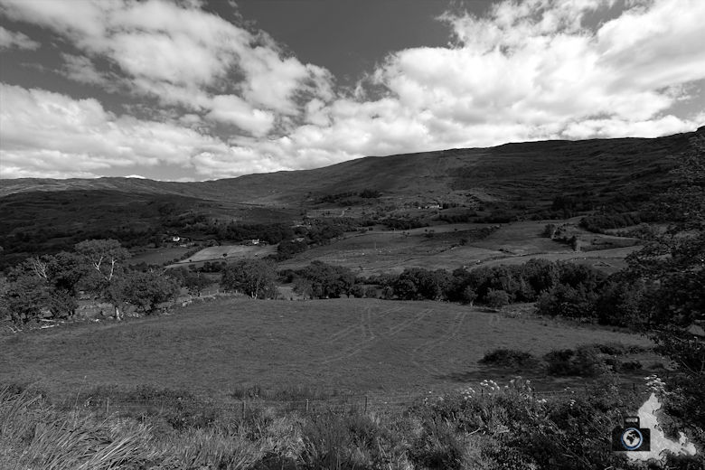 wunder-des-lebens-natur-geniessen