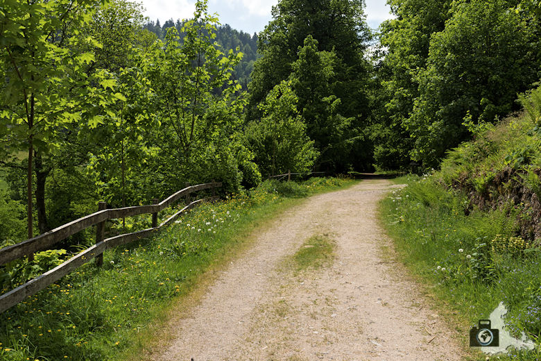 Sagenrundweg nahe den Allerheiligen Wasserfällen im Schwarzwald