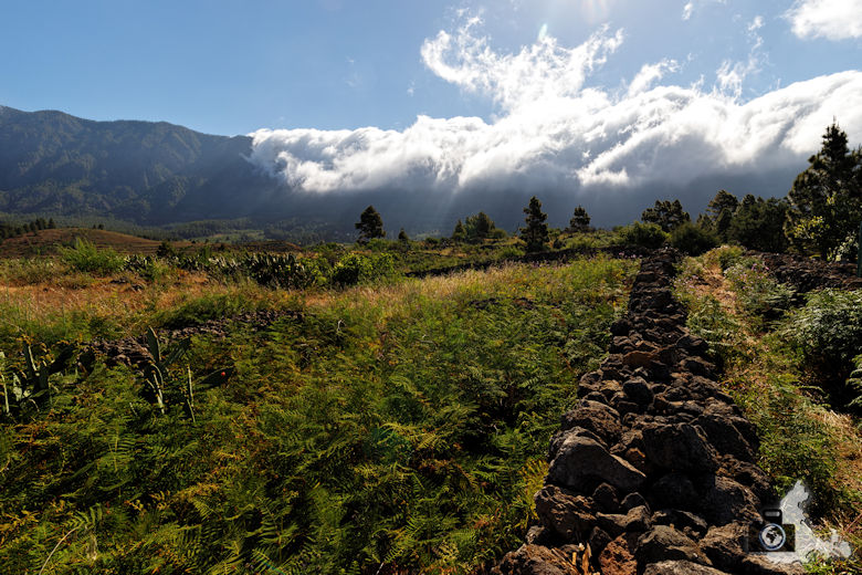 Reisebericht La Palma - Fahrt ins Hochland