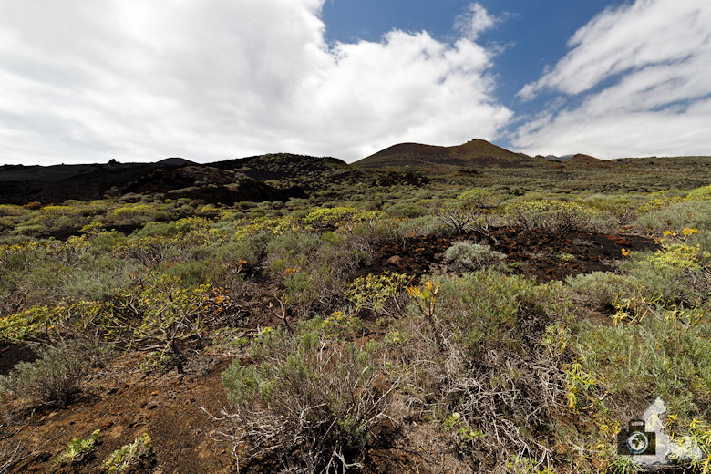 Reisebericht La Palma - Lava Landschaft im Süden