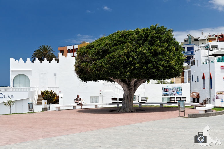 Reisebericht La Palma - Puerto de Naos