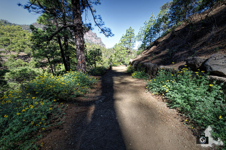 La Palma, Nationalpark Caldera de Taburiente, Rundwanderung La Cumbrecita