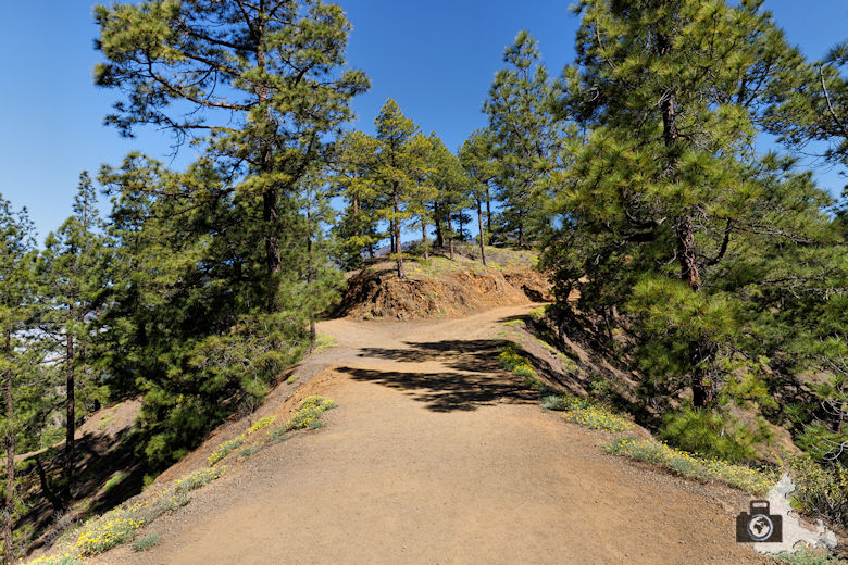 La Palma, Nationalpark Caldera de Taburiente, Lomo de las Chozas