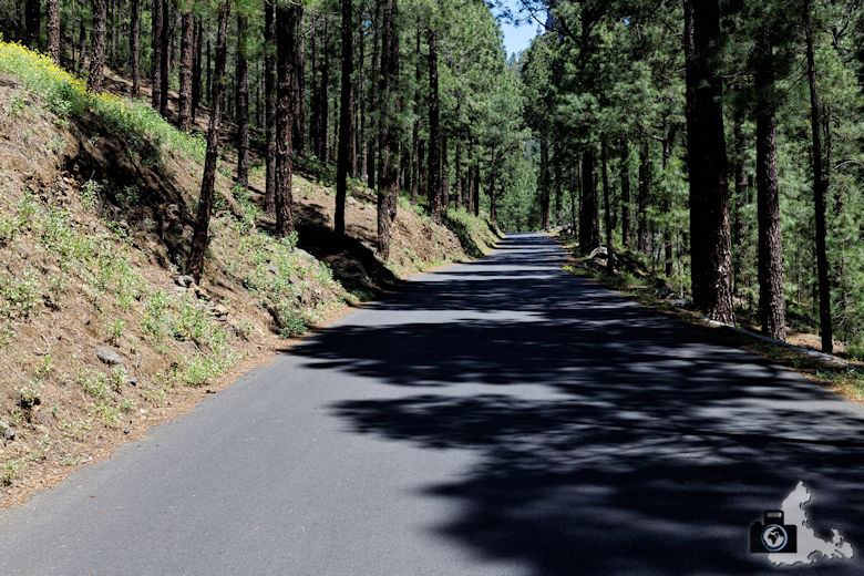 La Palma, Nationalpark Caldera de Taburiente