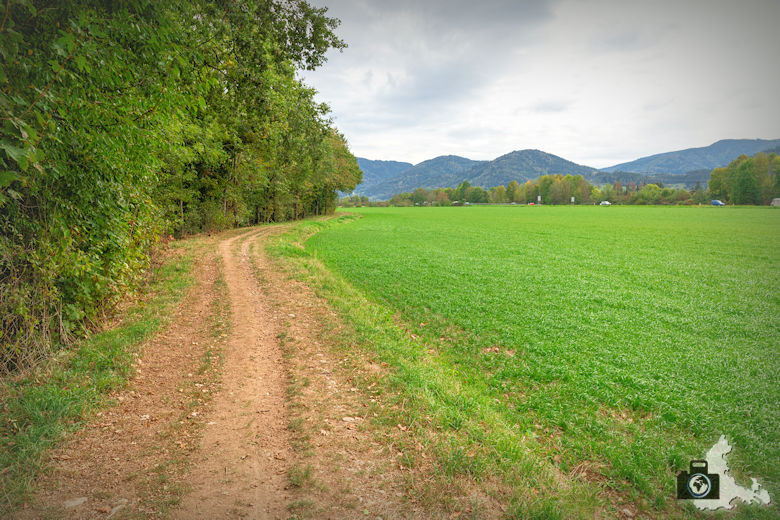 Wanderung Dreisamtal - Kapellenweg Stegen - Wanderweg