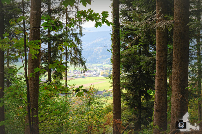 Wanderung Dreisamtal - Kapellenweg Stegen - Ausblick
