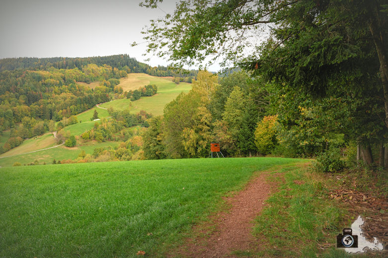 Wanderung Dreisamtal - Kapellenweg Stegen - Waldrand