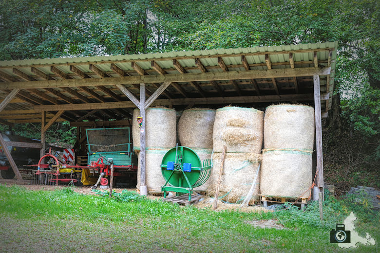 Wanderung Dreisamtal - Kapellenweg Stegen - Schuppen