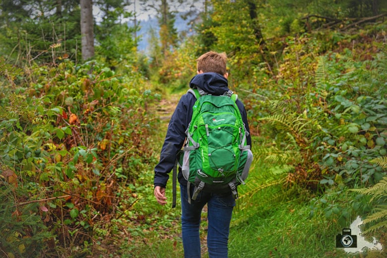 Annis Schwarzwald Geheimnis Baiersbronn - Auf dem Spuren von Avalee - Wanderweg