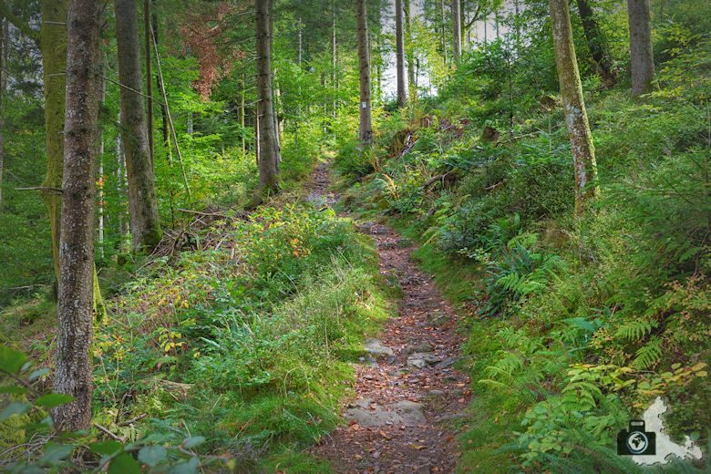 Annis Schwarzwald Geheimnis Baiersbronn - Auf dem Spuren von Avalee - Wanderweg