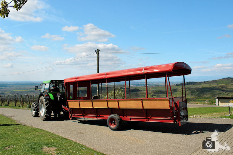 02-restaurant-lenzenberg-buggelbus