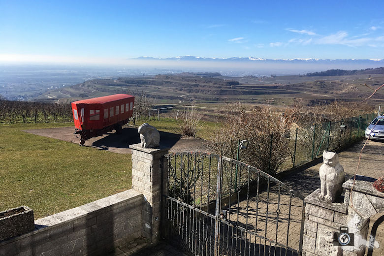 12-restaurant-lenzenberg-blick-auf-die-vogesen