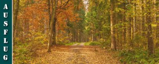 Schwarzwälder Genießerpfad - Rötenbachschlucht - Herbstwanderung