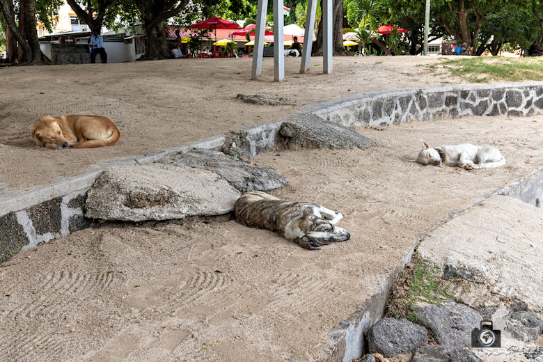 Pereybere Beach, Mauritius