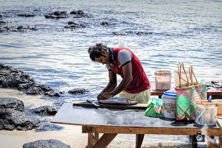 Fischer, Cap Malheureux, Mauritius