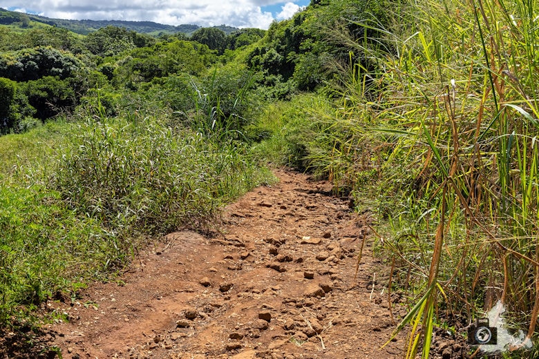 Anfahrt Rochester Falls, Mauritius