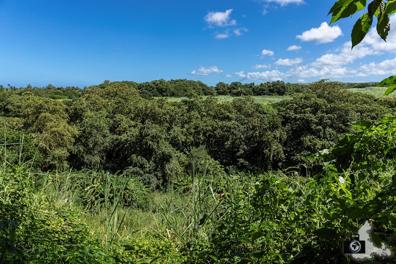 Aussicht nahe den Rochester Falls, Mauritius