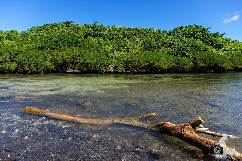 Ilot Sancho, Mauritius