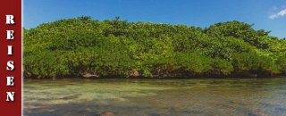 mauritius-rochester-falls-alexandra-falls