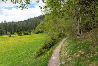Säbelthomaweg, Hinterzarten