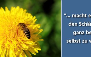 Fotografie Tipps: Scharfe Bilder und perfekte Schaerfentiefe