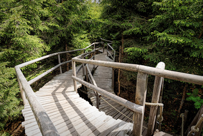 Lotharpfad & Nationalpark Schwarzwald Bilder