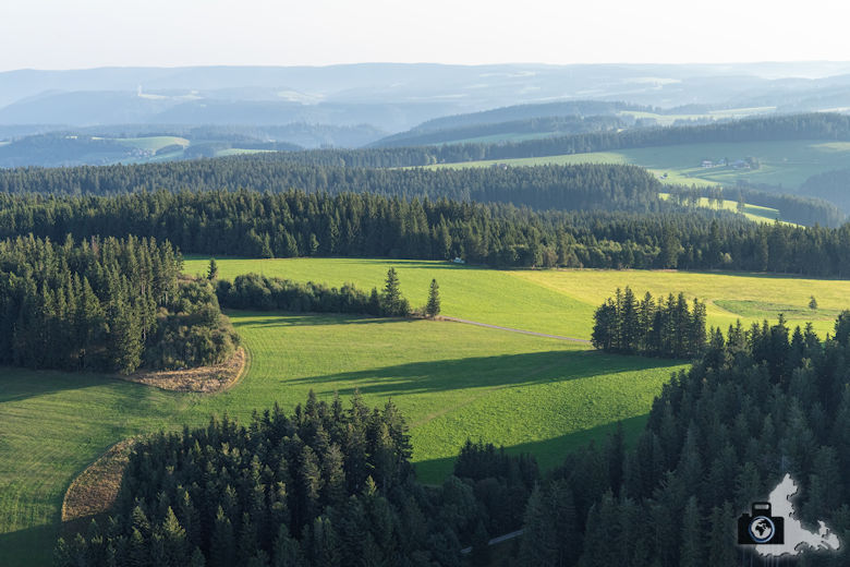 Ballonfahrt, Hinterzarten, Schwarzwald