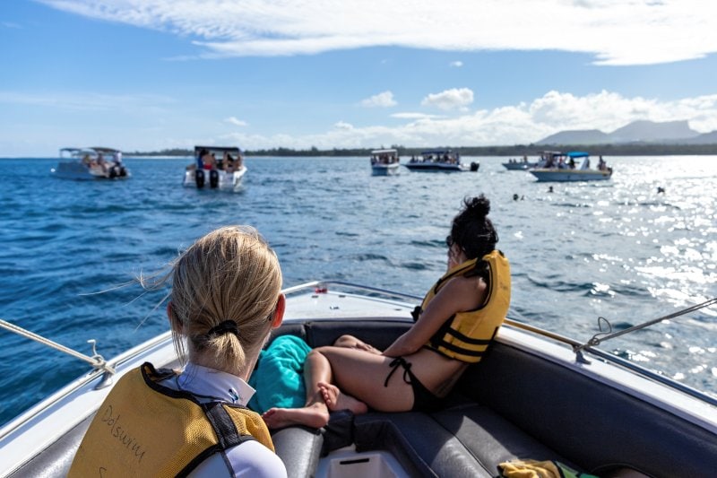 Schwimmen mit Delfinen auf Mauritius