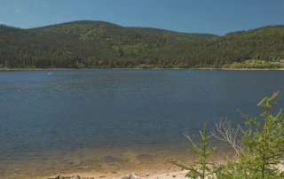 schwarzwaelder-geniesserpfad-schluchseer-jaegersteig