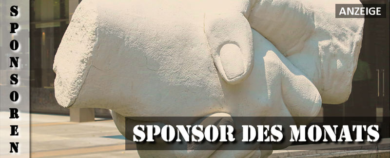 vizarm-sponsor-dezember-2019