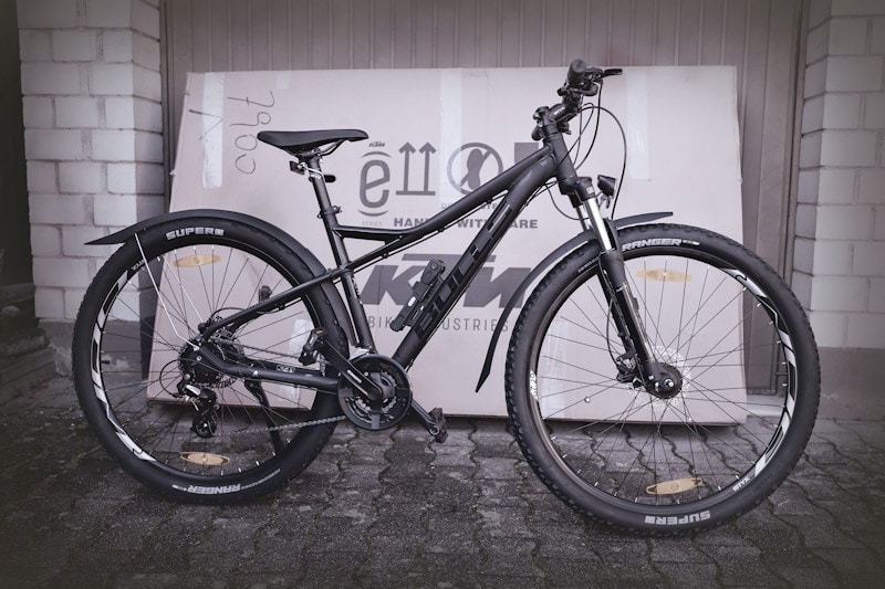 bulls-sharptail-street-3