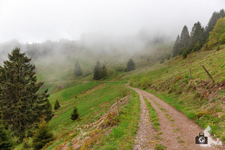 Berggeheimnis Schauinsland - 2080 Linus: Das Wasser kommt