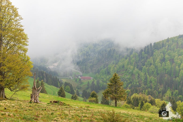 Berggeheimnis Schauinsland - 2080 Linus: Das Wasser kommt
