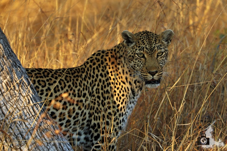 interview_alexandra_wanderlust_africa