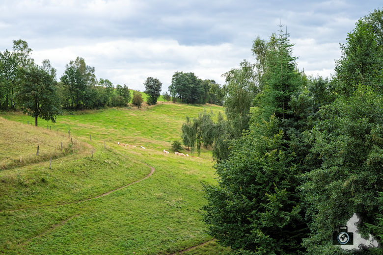 Elbsandsteingebirge - Wanderung zum Weifbergturm