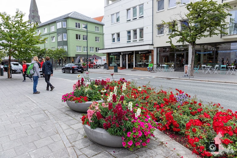 Molde - Stadt der Rosen