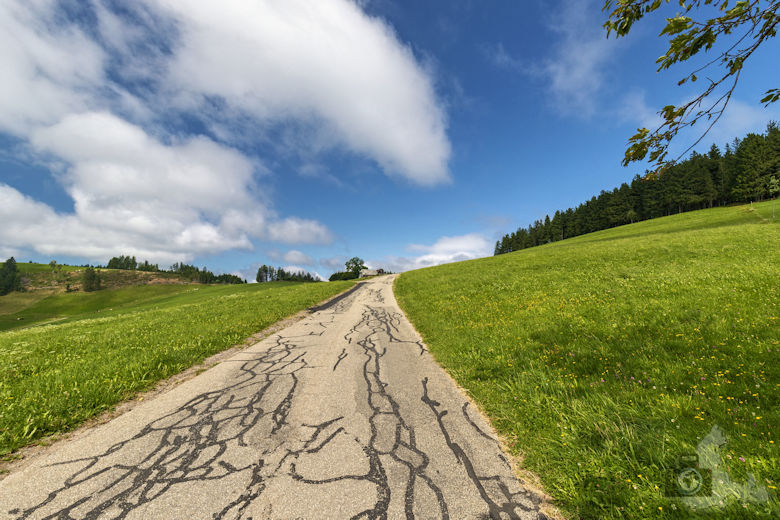 Wanderung auf dem Breitnauer Roßberg Rundweg