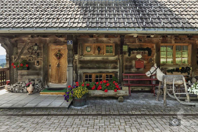 Wanderung auf dem Breitnauer Roßberg Rundweg