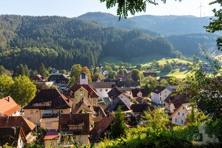 Wanderung Gutacher Tälersteig