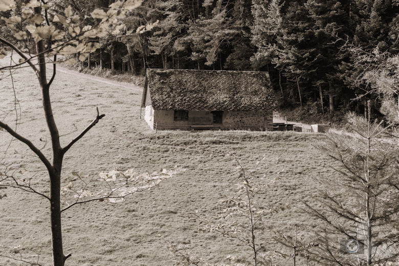 Wanderung Gutacher Tälersteig