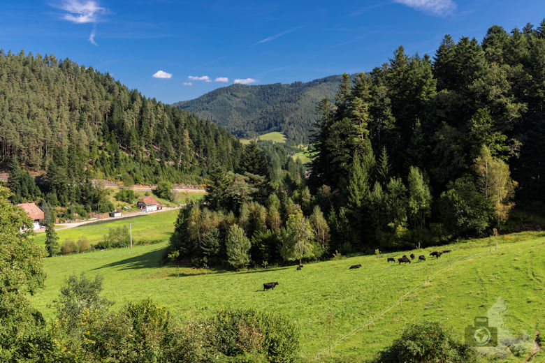 Wanderung Gutacher Tälersteig