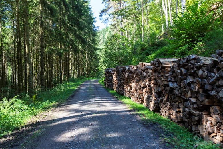 Wanderung Gutacher Tälersteig