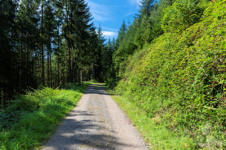 Wanderung Gutacher Tälersteig