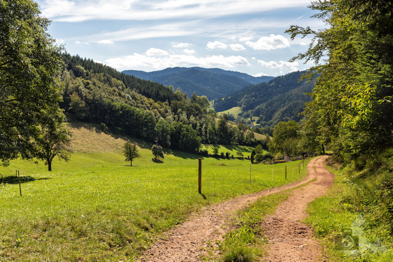 Wanderung Gutacher Tälersteig