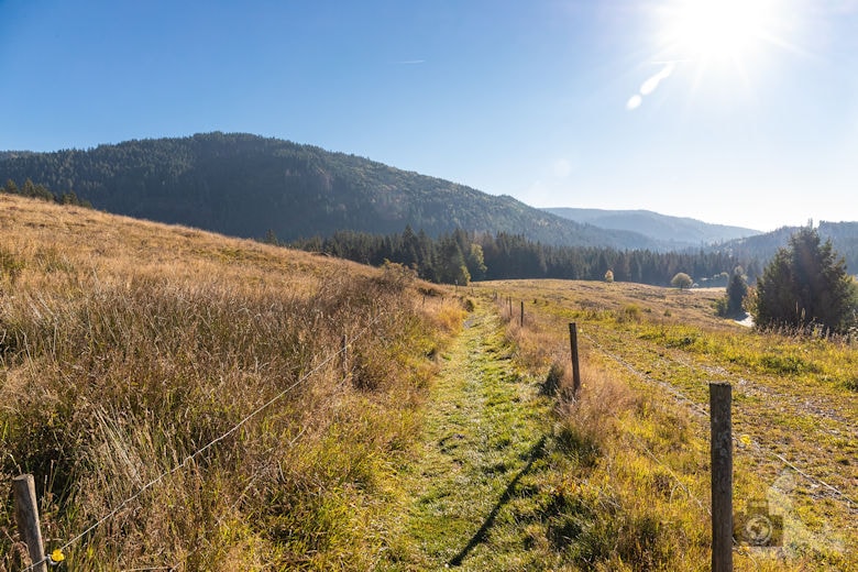 Wanderung - Schwarzwälder Genießerpfad - Bernauer Hochtal Steig