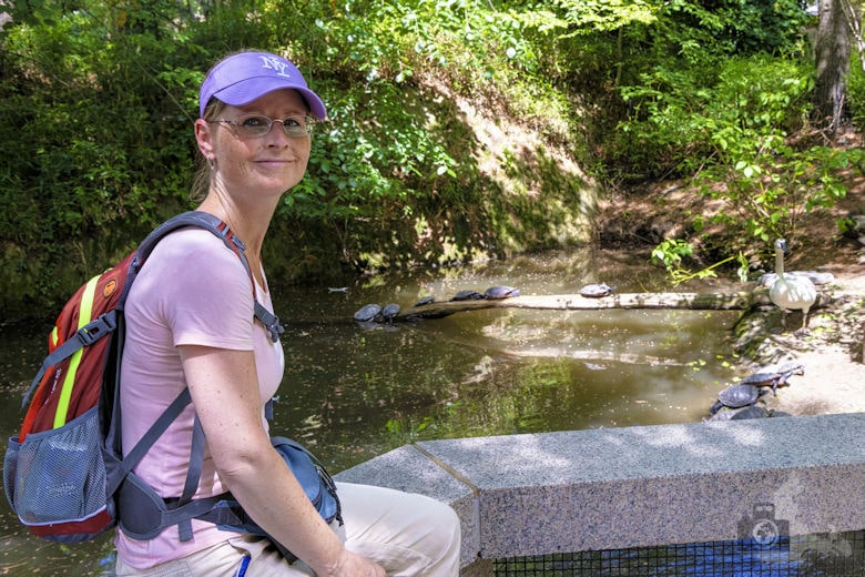 New York - Central Park Zoo