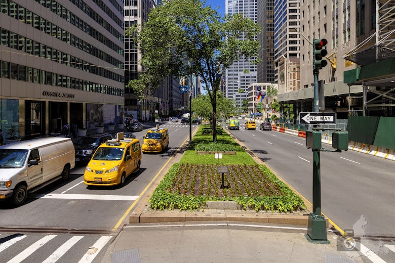 Big Bus Tour New York - Taxi